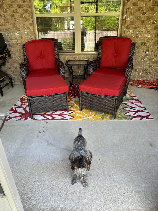What Can You Do for Protecting Your Wicker Furniture From Kids and Pets?