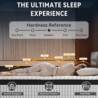 12 Inch Hybrid Mattress - Medium Firm Support with Memory Foam & Pocket Springs for Pressure Relief & Motion Isolation, CertiPUR-US Certified, Available in Twin, Full, Queen, King